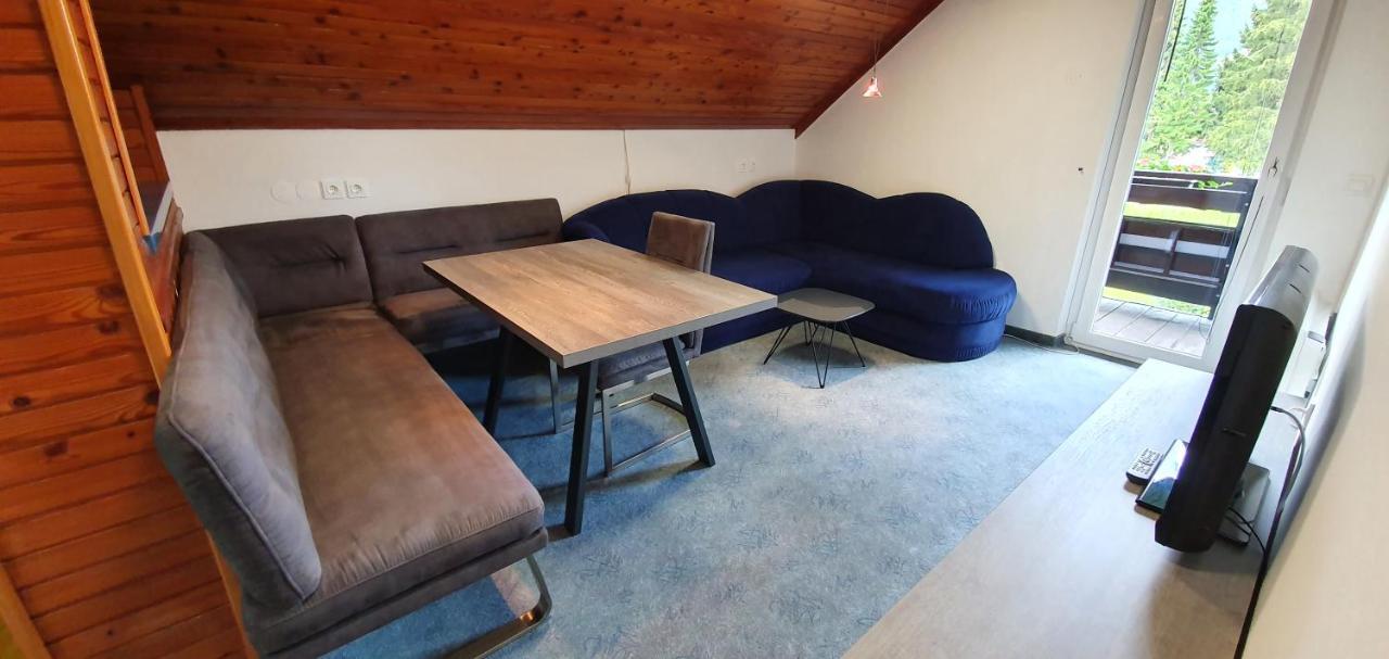 קרנייסקה גורה Apartments And Rooms Milena מראה חיצוני תמונה