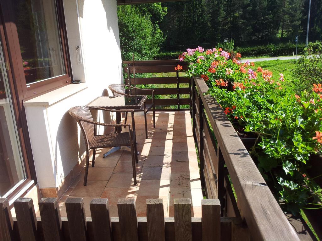 קרנייסקה גורה Apartments And Rooms Milena מראה חיצוני תמונה
