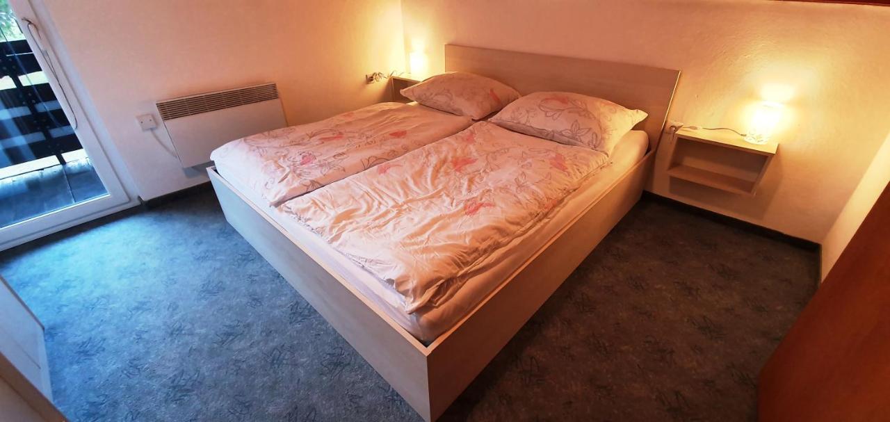 קרנייסקה גורה Apartments And Rooms Milena מראה חיצוני תמונה